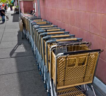 Shopping Carts.jpg